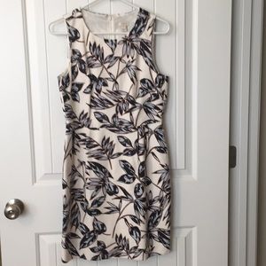 J Crew Dress